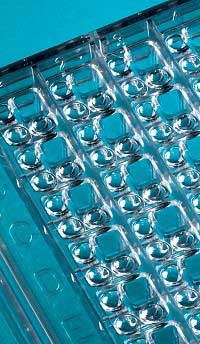 Siltech シルテック Sphinz Project 19 オランダ製 Siltech シルテック Sphinz Project 19 オランダ製 SILTECH Explore SG